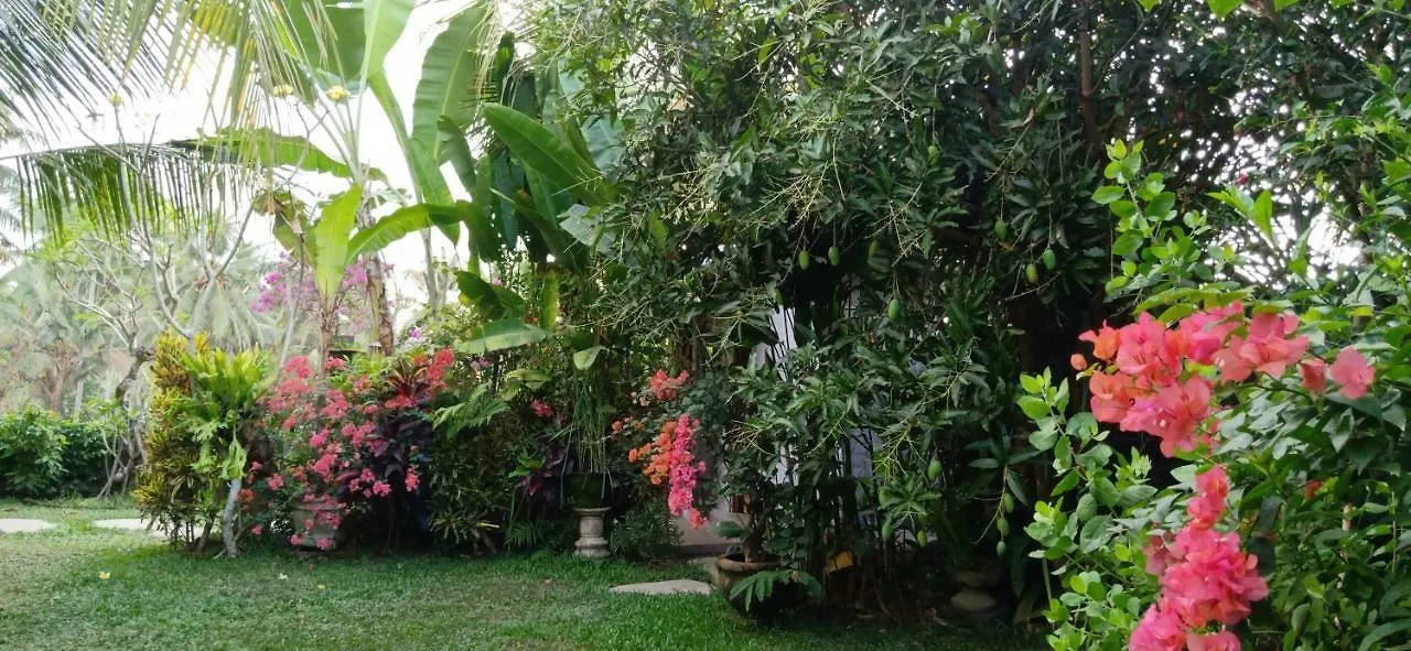 Baliwid Villa Ubud 0*,